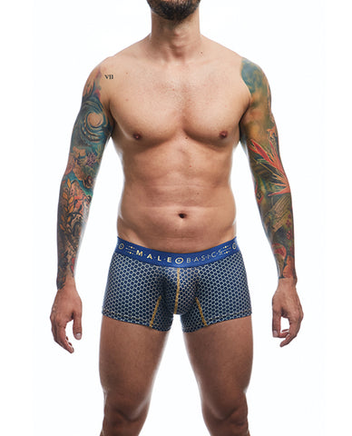 Male Basics Hipster Trunk Andalucia Lg