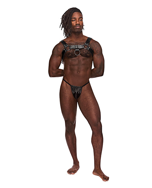 Leather Aries Single Ring Harness Black O-s