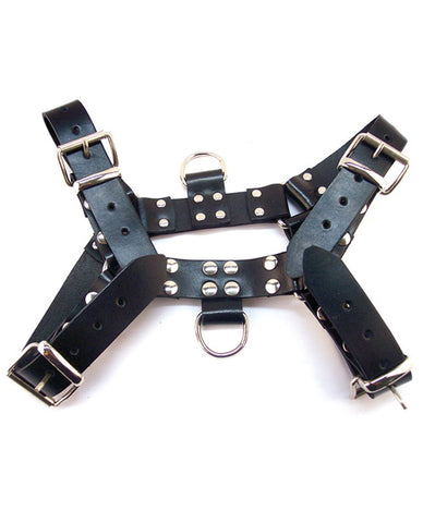 Rouge Over The Head Xlarge Harness